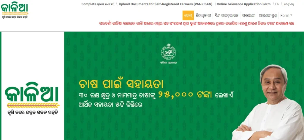 kalia yojana online portal (1)