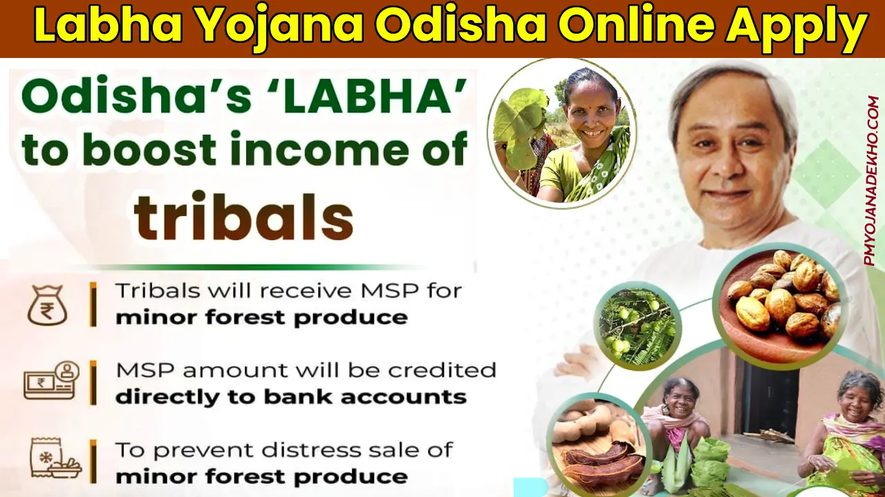 Odisha LABHA Yojana 2024: ओडिशा LABHA योजना - लघु वन उपज के लिए 100% राज्य-वित्त पोषित एमएसपी योजनाOdisha LABHA Yojana 2024: